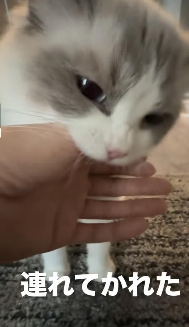 親指をぱくり▶親指をくわえたまま…（⇒次へ）