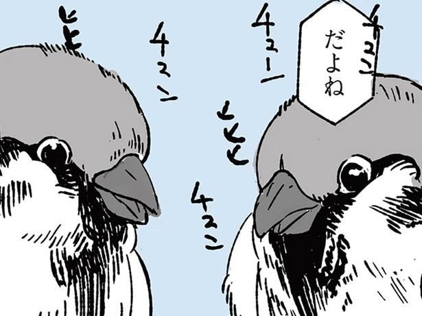 スズメの会話