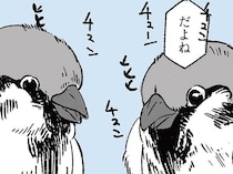 免許証が見つからない！ 半ば諦めかけていた女性の耳に届いた「スズメの会話」
