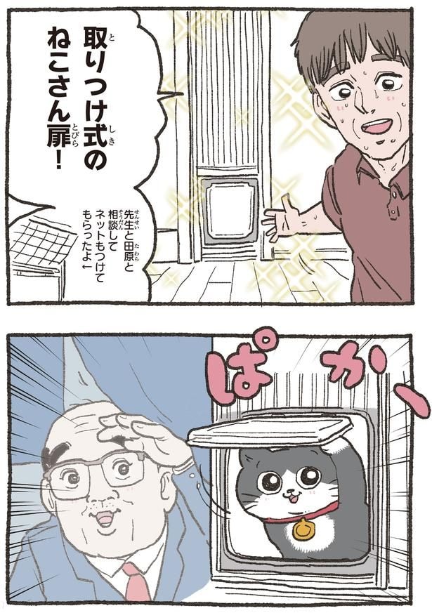 ねこさん扉！