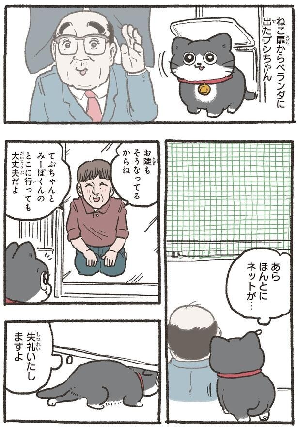 ねこ扉からベランダに