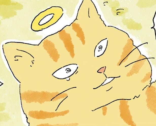 帰ったぞ