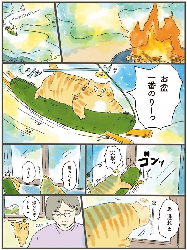 お盆一番のりーっ