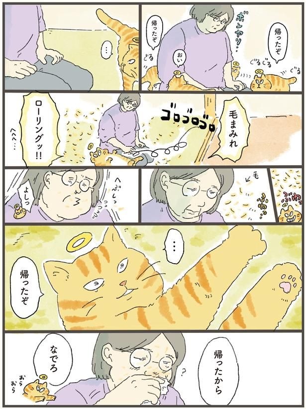 帰ったぞ
