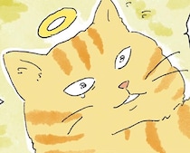ベッドも水入れも片付けられないまま。悲嘆に暮れる飼い主の元へ、亡き猫が帰った日