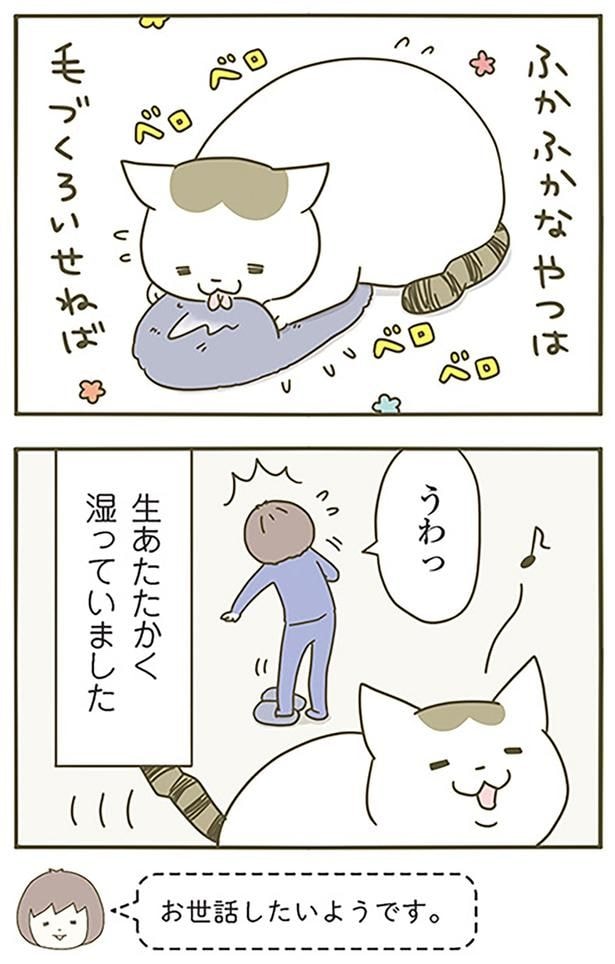 湿っていました