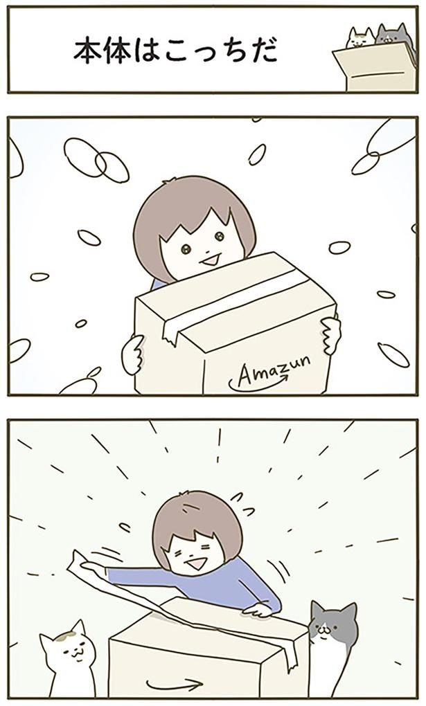 本体はこっちだ