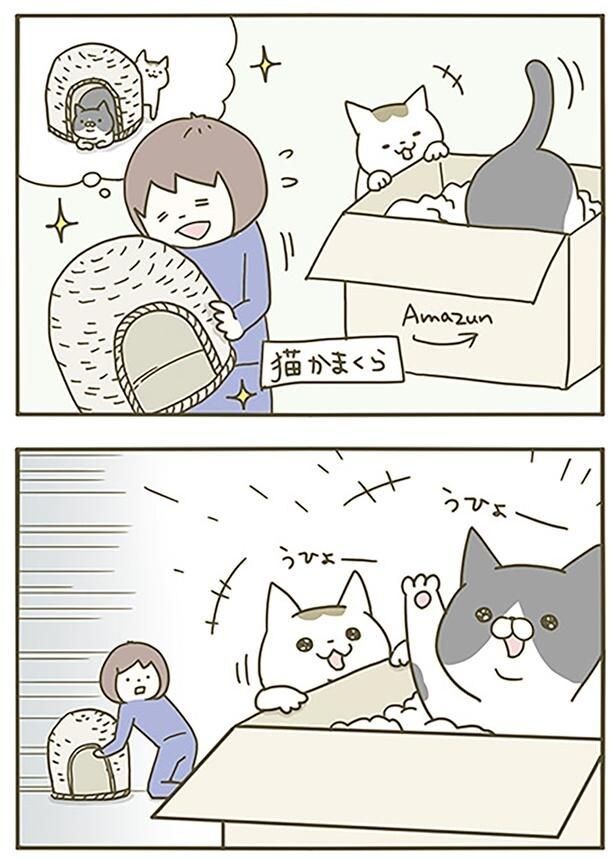 そっちじゃない
