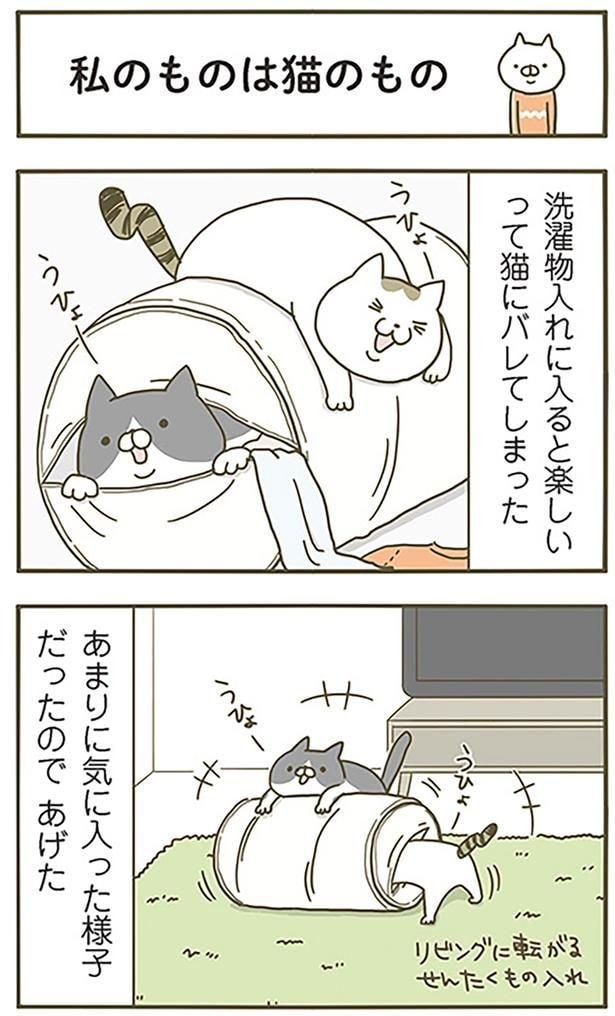 私のものは猫のもの