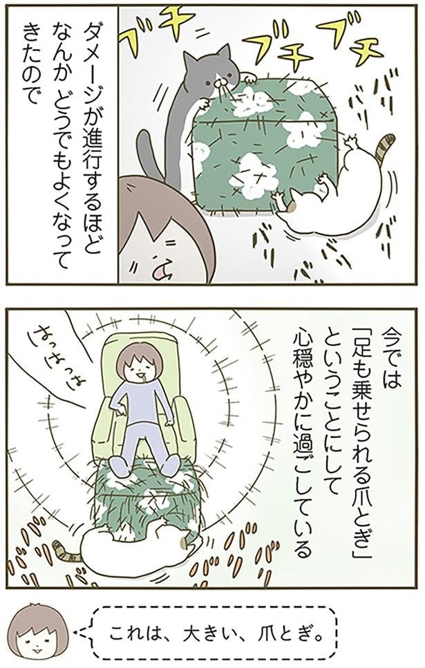 これは、大きい、爪とぎ