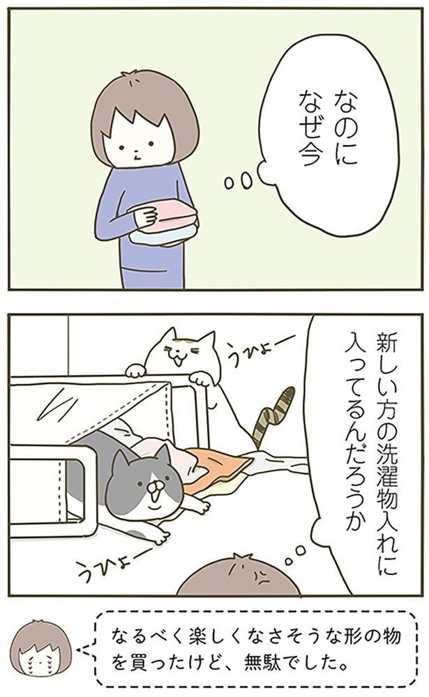 なぜ今