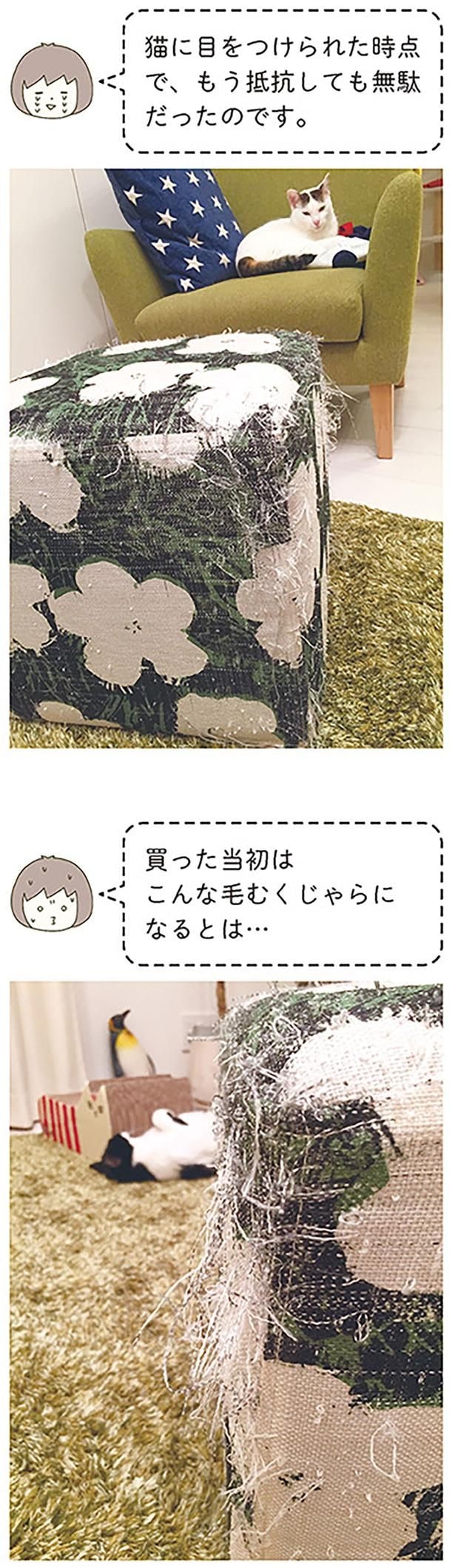 買った当初は