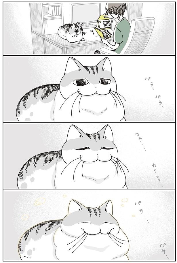 心地よい時間