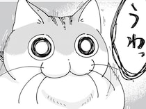 本当になんでもないよ！ のんびり中に飼い主が「うわっ」としたときのネコの反応
