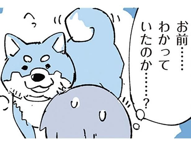 わかっていたのか…？