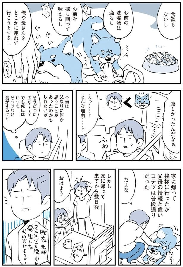 寂しかったんだなぁ
