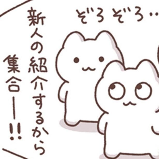 新人の紹介するから集合ー！！