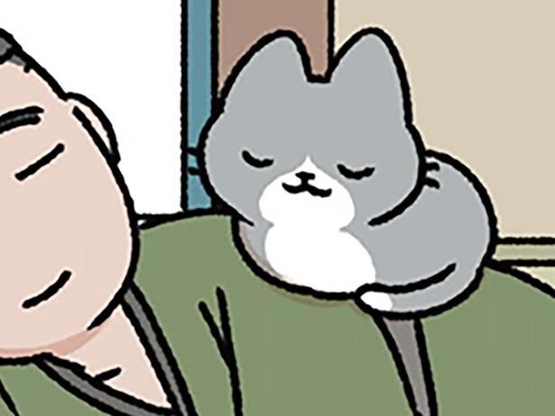 ねこの居場所は