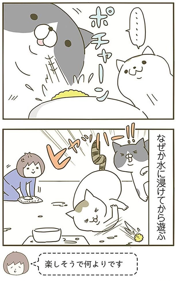 楽しそうで何よりです