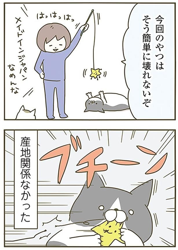 産地関係なかった