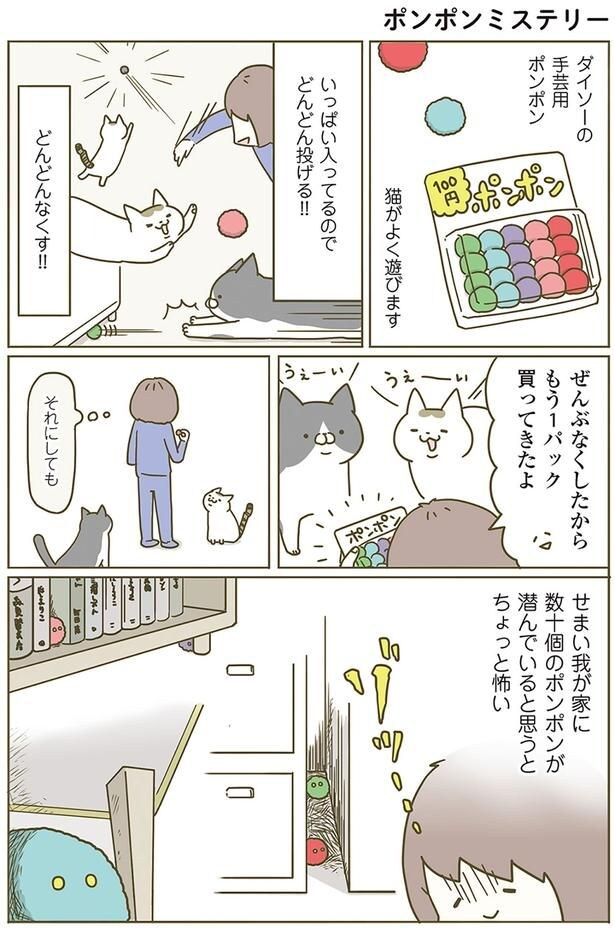 ポンポンミステリー