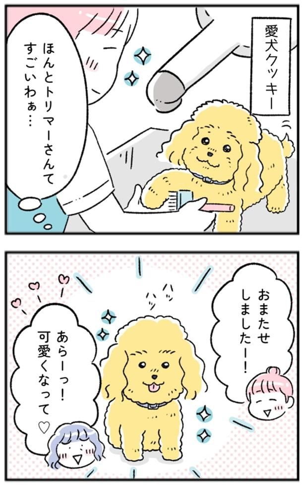 ほんとトリマーさんてすごいわぁ…