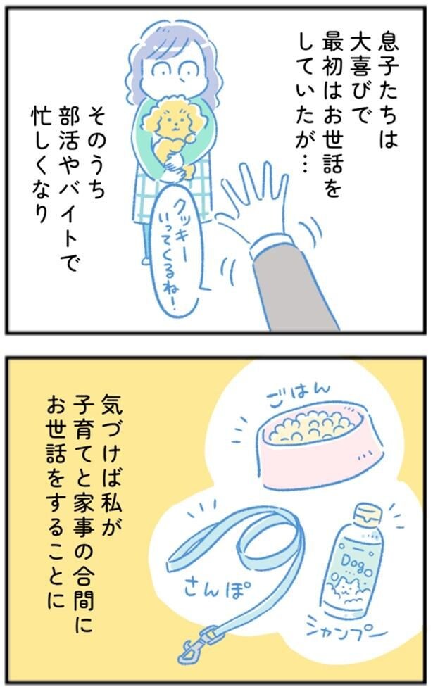 気づけば私が子育てと家事の合間にお世話をすることに