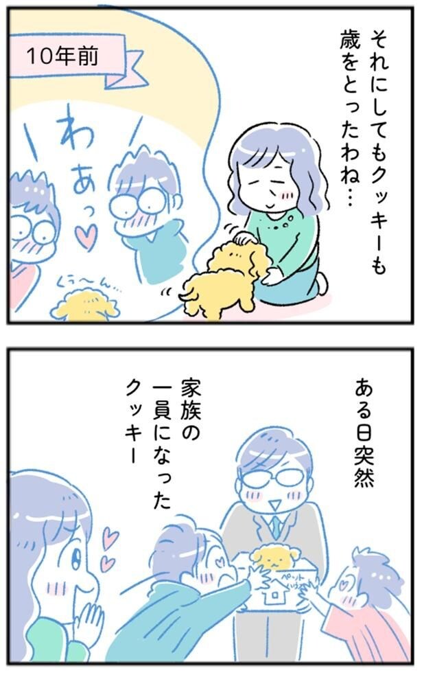 クッキーも歳をとったわね…