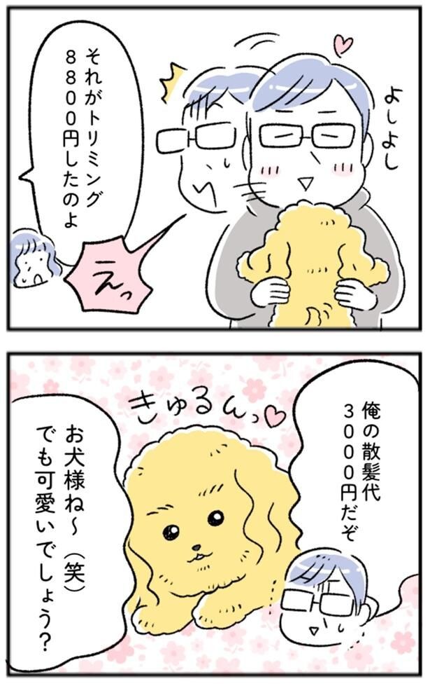 お犬様ね～