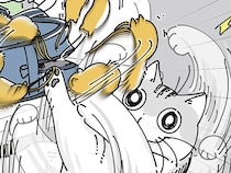 カバンについているストラップにご執心。一生懸命なネコがなんか可愛い
