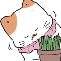 あれは噂のねこ草!? お隣の猫さんが食べている「大人の味」に興味津々
