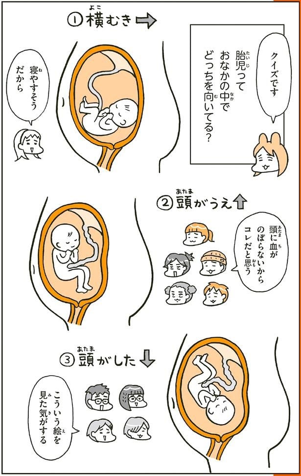 胎児っておなかの中でどっちを向いてる？