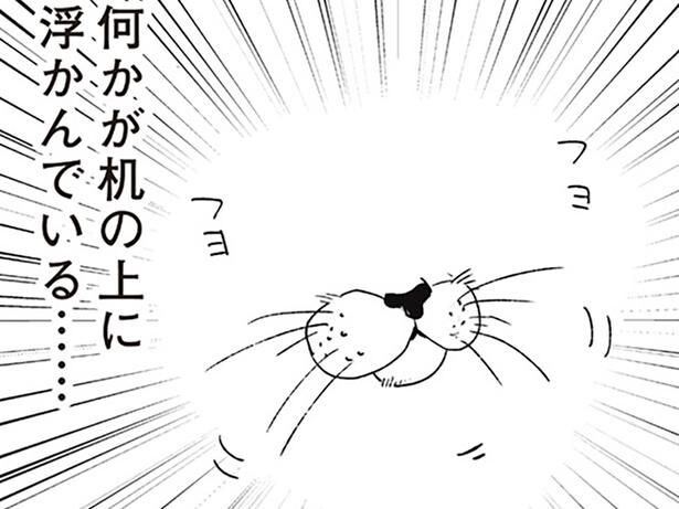 猫の口だ！