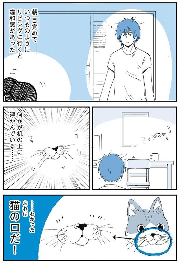 …わかったあれは猫の口だ！