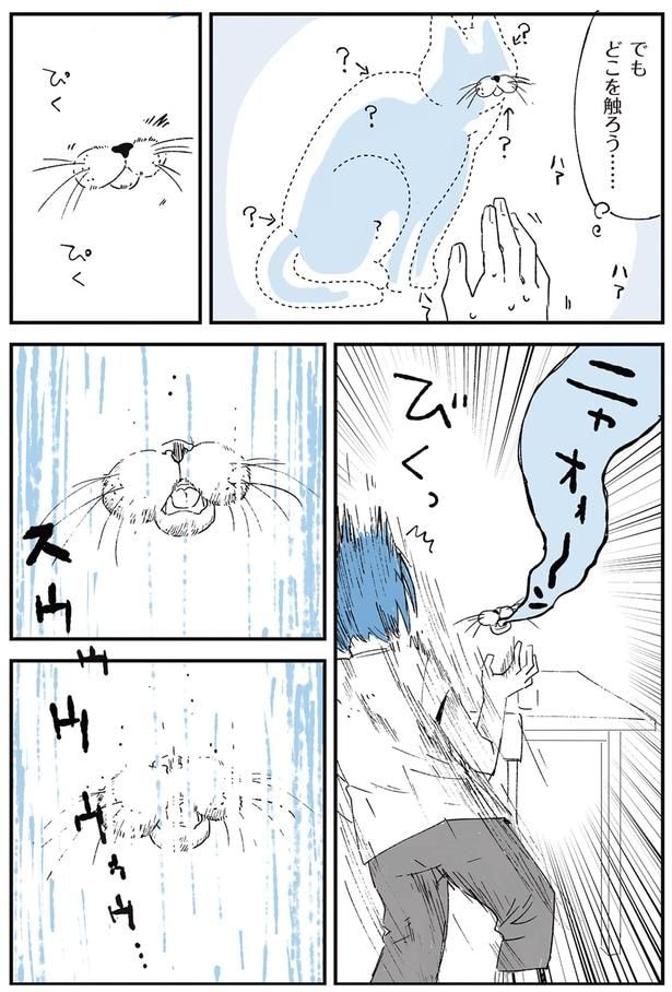 でもどこを触ろう…