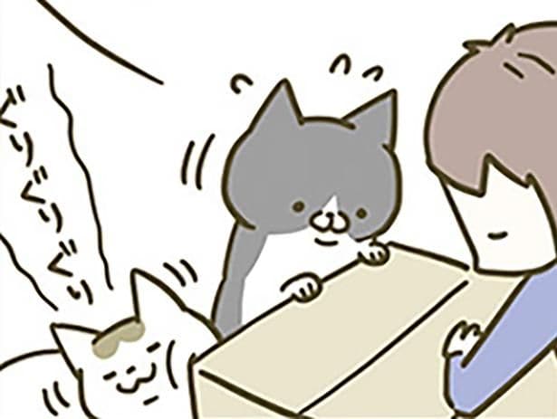 大人気なダンボール