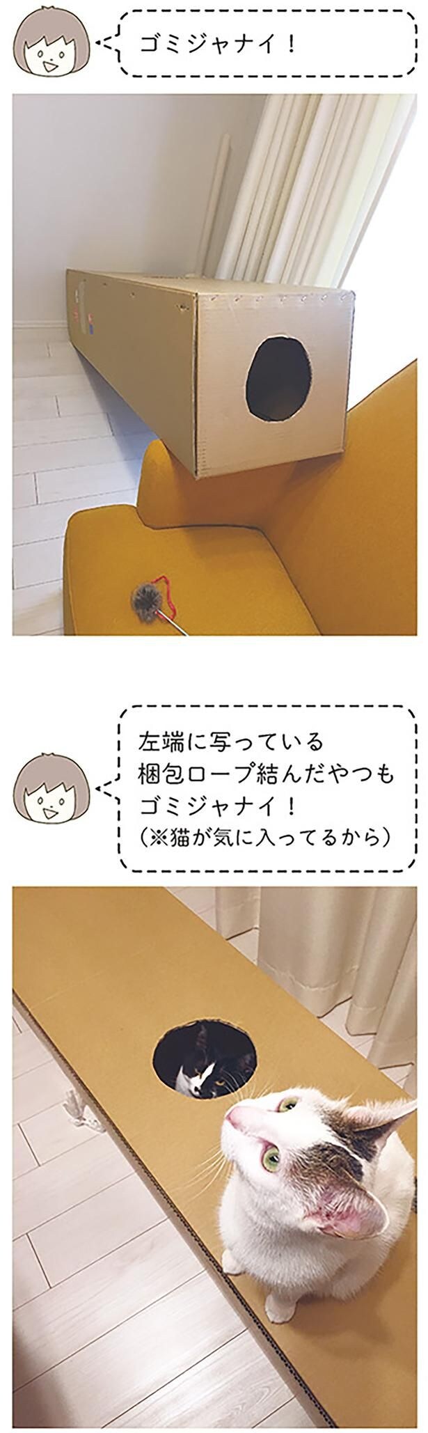 ゴミジャナイ！