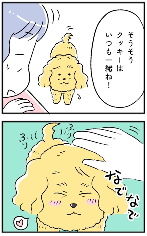 クッキーはいつも一緒ね！