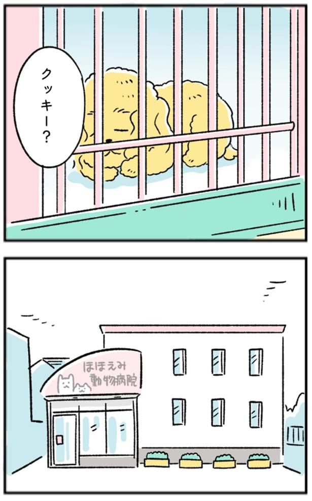 クッキー？