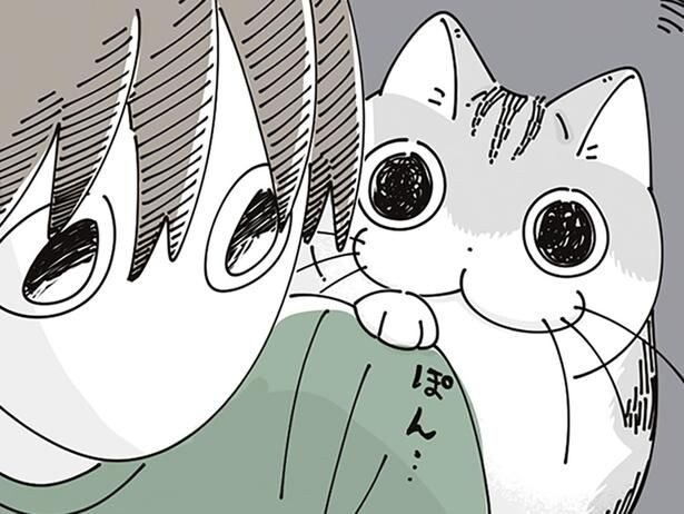 肩ポン
