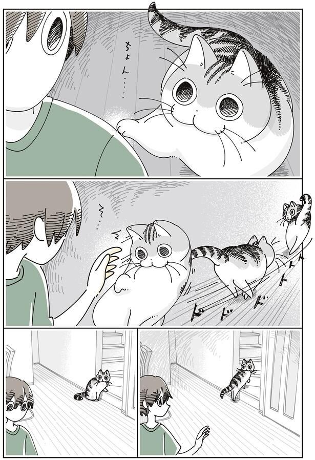 ちょん…