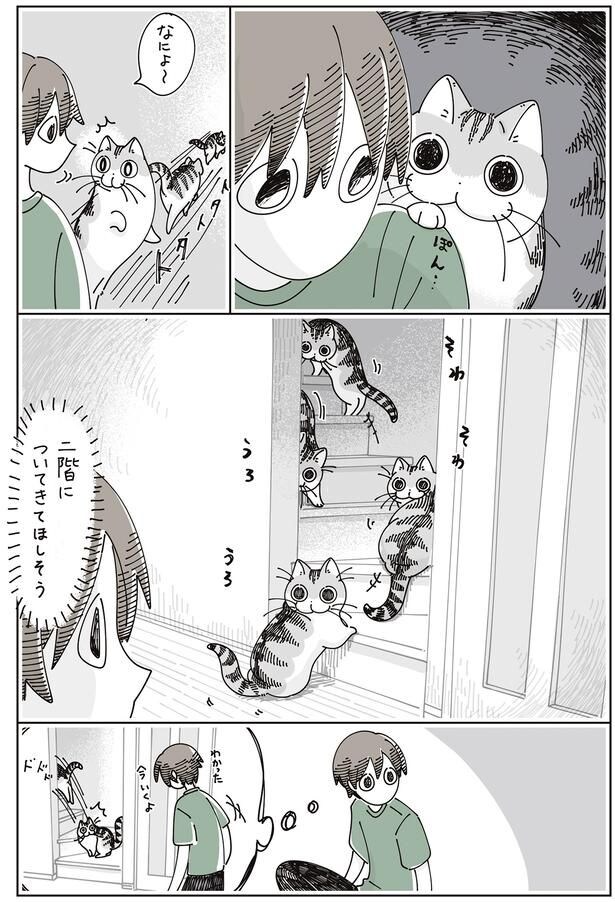 ついてきてほしそう