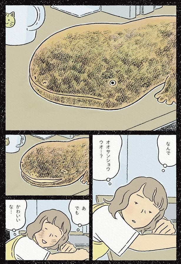 なんでオオサンショウウオ…?