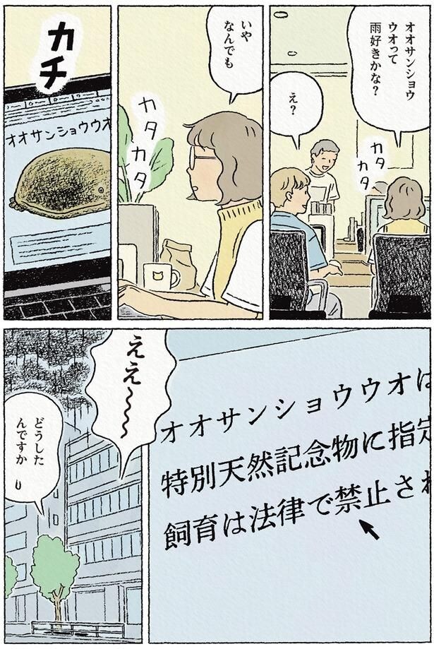 オオサンショウウオって雨好きかな?