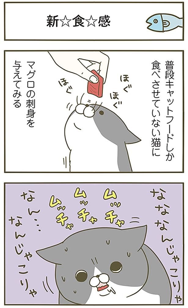 新☆食☆感