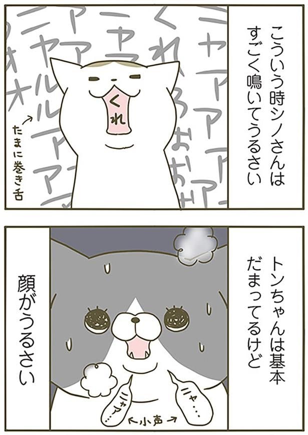 顔がうるさい