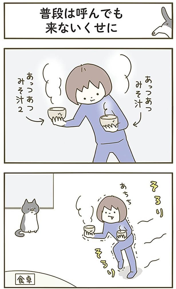 普段は呼んでも来ないくせに