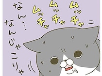 珍しい食べ物に困惑？ キャットフードを普段食べている猫にマグロをあげてみたら