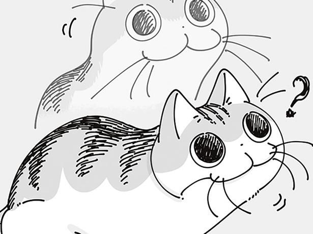 あれはなに？
