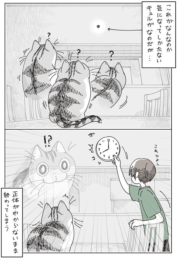 正体がわからないまま